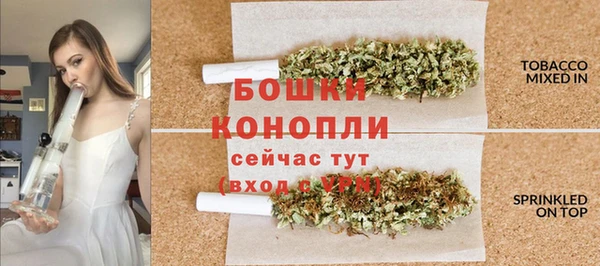spice Медногорск